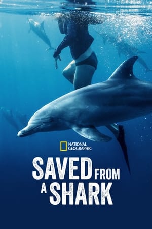 Saved From a Shark watch Saved From a Shark