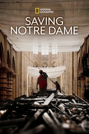 Saving Notre Dame watch Saving Notre Dame