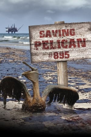 Saving Pelican 895 watch Saving Pelican 895