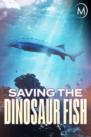 Saving the Dinosaur Fish watch Saving the Dinosaur Fish