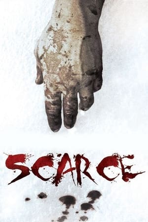 Scarce watch Scarce