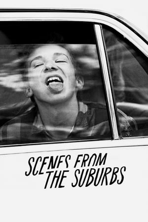 Scenes from the Suburbs watch Scenes from the Suburbs