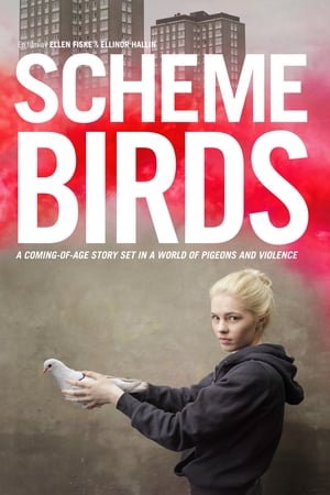 Scheme Birds watch Scheme Birds