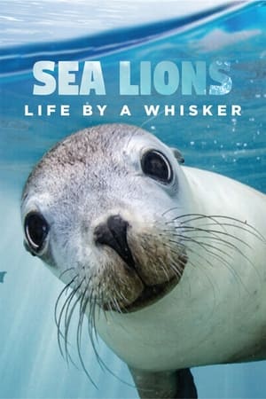 Sea Lions: Life By a Whisker watch Sea Lions: Life By a Whisker