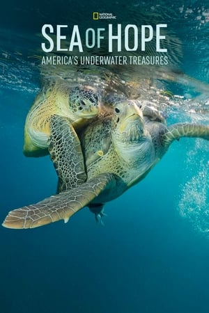 Sea of Hope: America's Underwater Treasures watch Sea of Hope: America's Underwater Treasures