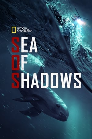 Sea of Shadows watch Sea of Shadows