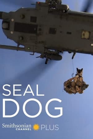 SEAL Dog watch SEAL Dog