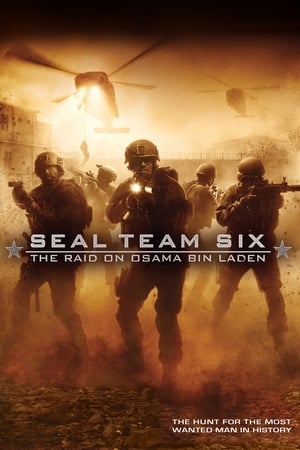 Seal Team Six: The Raid on Osama Bin Laden watch Seal Team Six: The Raid on Osama Bin Laden