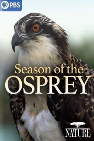 Season of the Osprey watch Season of the Osprey