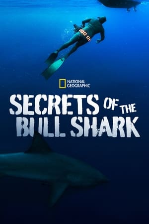 Secrets of the Bull Shark watch Secrets of the Bull Shark