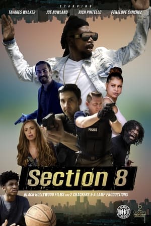 watch Section 8