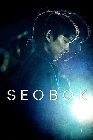 watch Seobok