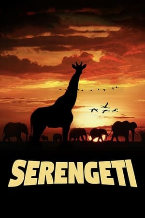 Serengeti watch Serengeti