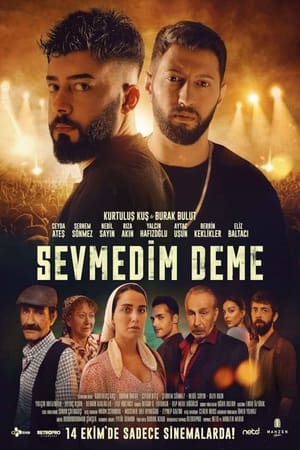 watch Sevmedim Deme