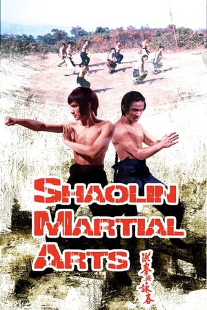 Shaolin Martial Arts watch Shaolin Martial Arts