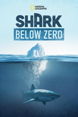 Shark Below Zero watch Shark Below Zero