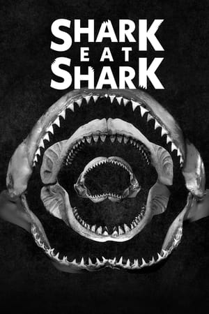 Shark Eat Shark watch Shark Eat Shark
