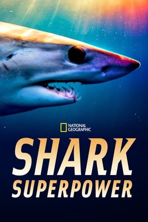Shark Superpower watch Shark Superpower
