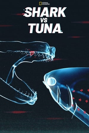 Shark vs. Tuna watch Shark vs. Tuna