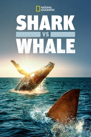 Shark Vs. Whale watch Shark Vs. Whale