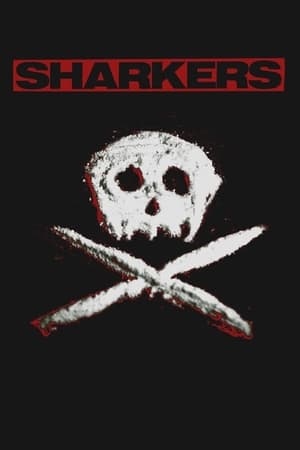 Sharkers watch Sharkers