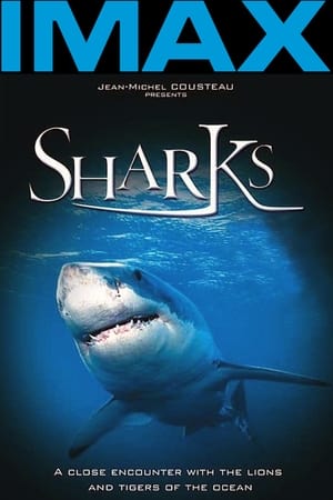 Sharks 3D watch Sharks 3D