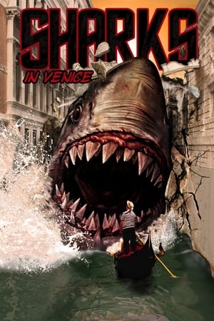 Sharks in Venice watch Sharks in Venice