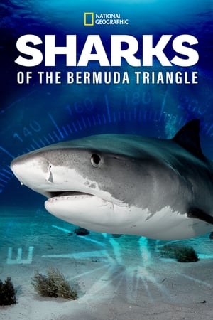 Sharks of the Bermuda Triangle watch Sharks of the Bermuda Triangle
