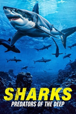 Sharks: Predators of the Deep watch Sharks: Predators of the Deep