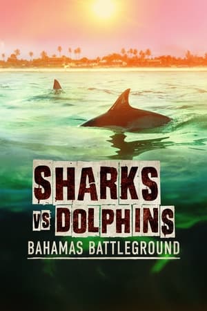 Sharks vs. Dolphins: Bahamas Battleground watch Sharks vs. Dolphins: Bahamas Battleground