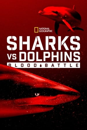 Sharks vs. Dolphins: Blood Battle watch Sharks vs. Dolphins: Blood Battle