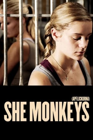 She Monkeys watch She Monkeys