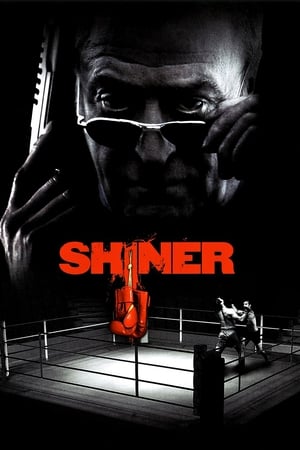 Shiner watch Shiner