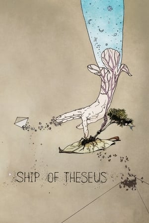 Ship of Theseus watch Ship of Theseus