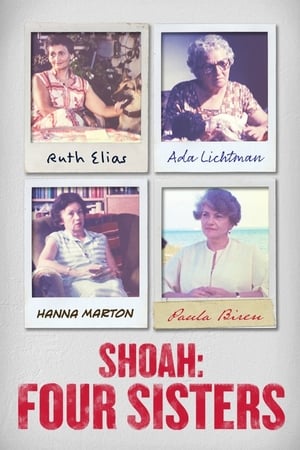 Shoah: Four Sisters watch Shoah: Four Sisters
