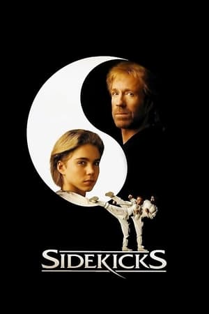 Sidekicks watch Sidekicks