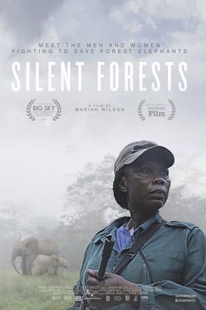 Silent Forests watch Silent Forests