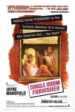 watch Single Room Furnished