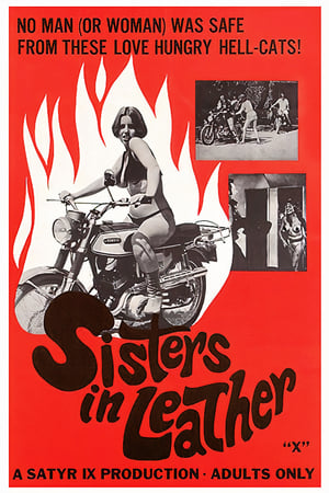 Sisters in Leather watch Sisters in Leather