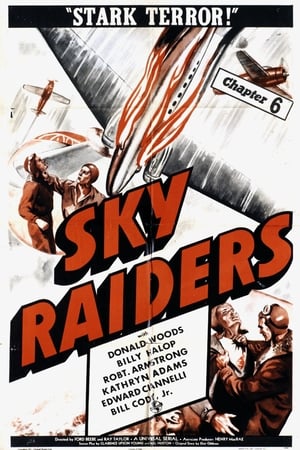 watch Sky Raiders