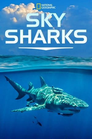 Sky Sharks watch Sky Sharks