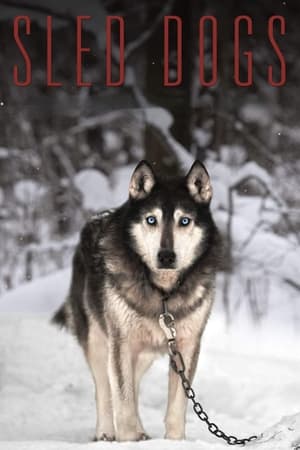 Sled Dogs watch Sled Dogs