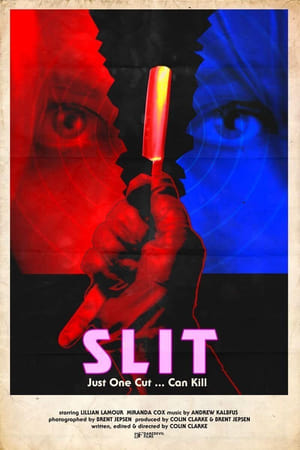 Slit watch Slit