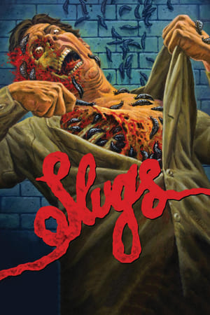 Slugs watch Slugs