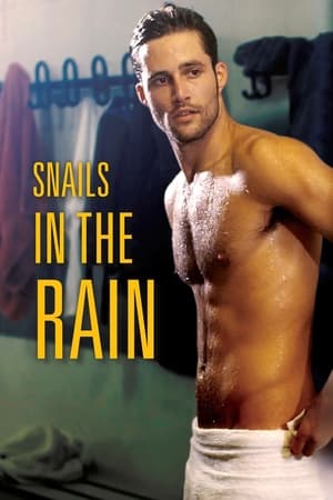 watch Snails in the Rain