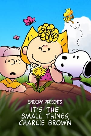 Snoopy Presents: It's the Small Things, Charlie Brown watch Snoopy Presents: It's the Small Things, Charlie Brown