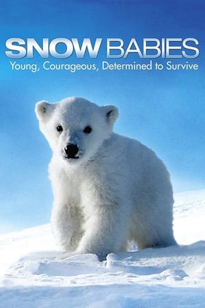 watch Snow Babies