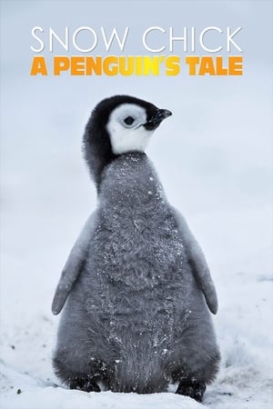 Snow Chick - A Penguin's Tale watch Snow Chick - A Penguin's Tale