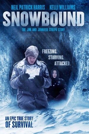 Snowbound: The Jim and Jennifer Stolpa Story watch Snowbound: The Jim and Jennifer Stolpa Story