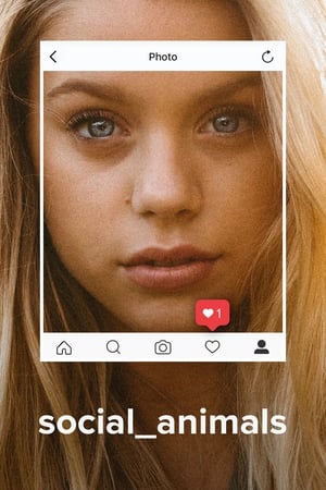 watch Social Animals